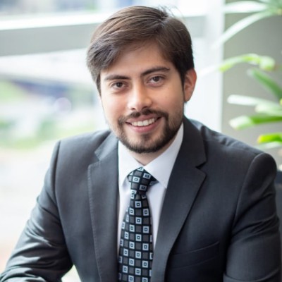 Martim Francisco Ribeiro de Andrada